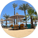 Lily Negm profile picture